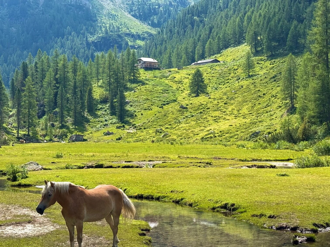 Albergo La Ruscoletta主图