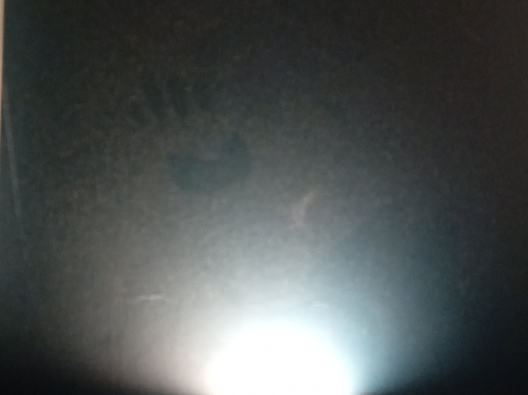 Travelodge Cambridge Swavesey主图