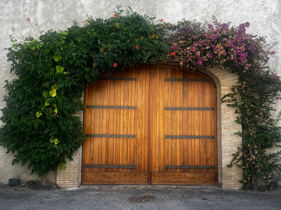 Vini Porto di Mola-Galluccio必去景点