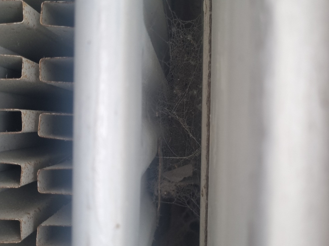 格林别墅酒店主图