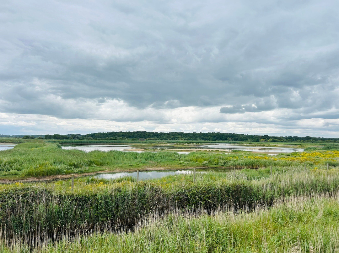 RSPB Minsmere-Westleton必去景点