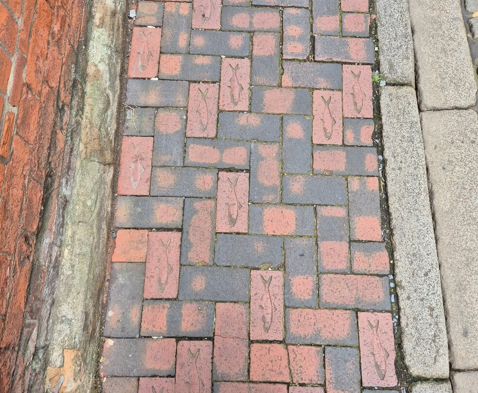 Seven Seas Fish Trail-赫尔河畔金斯顿必去景点