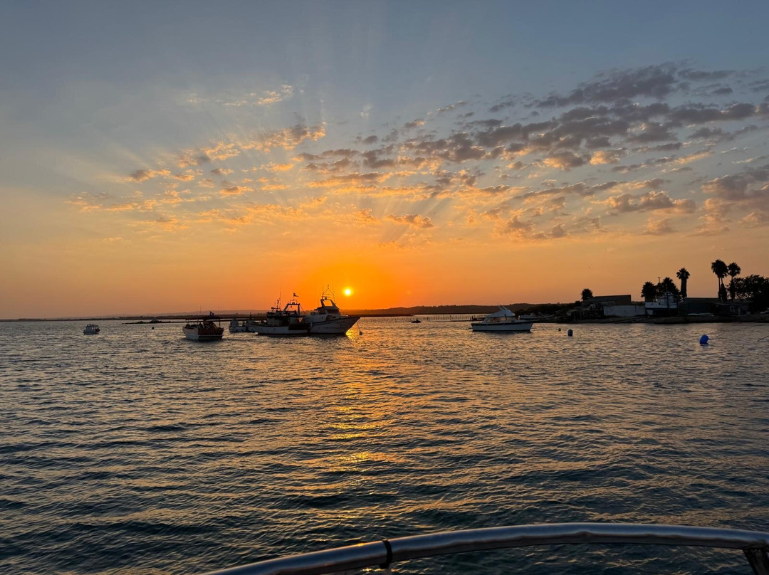 Paseos en barco ISLAVENTURA-Isla Cristina必去景点