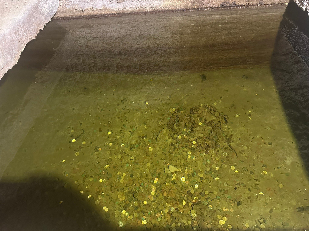 Caves du Palais Saint Firmin-戈尔德必去景点