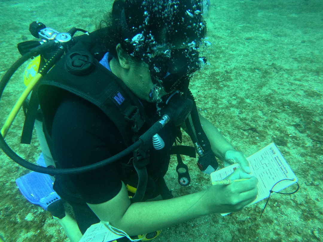Poseidon Diving Station Sri Lanka-尼拉瓦利必去景点
