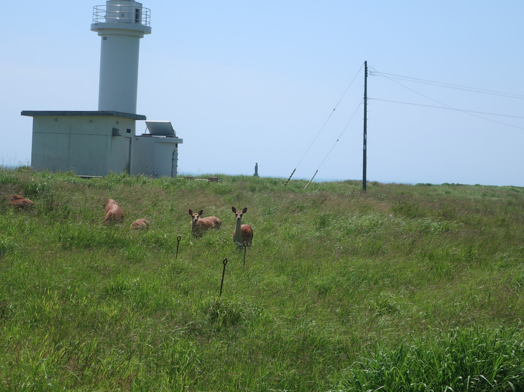 Notsukesaki Lighthouse-别海町必去景点