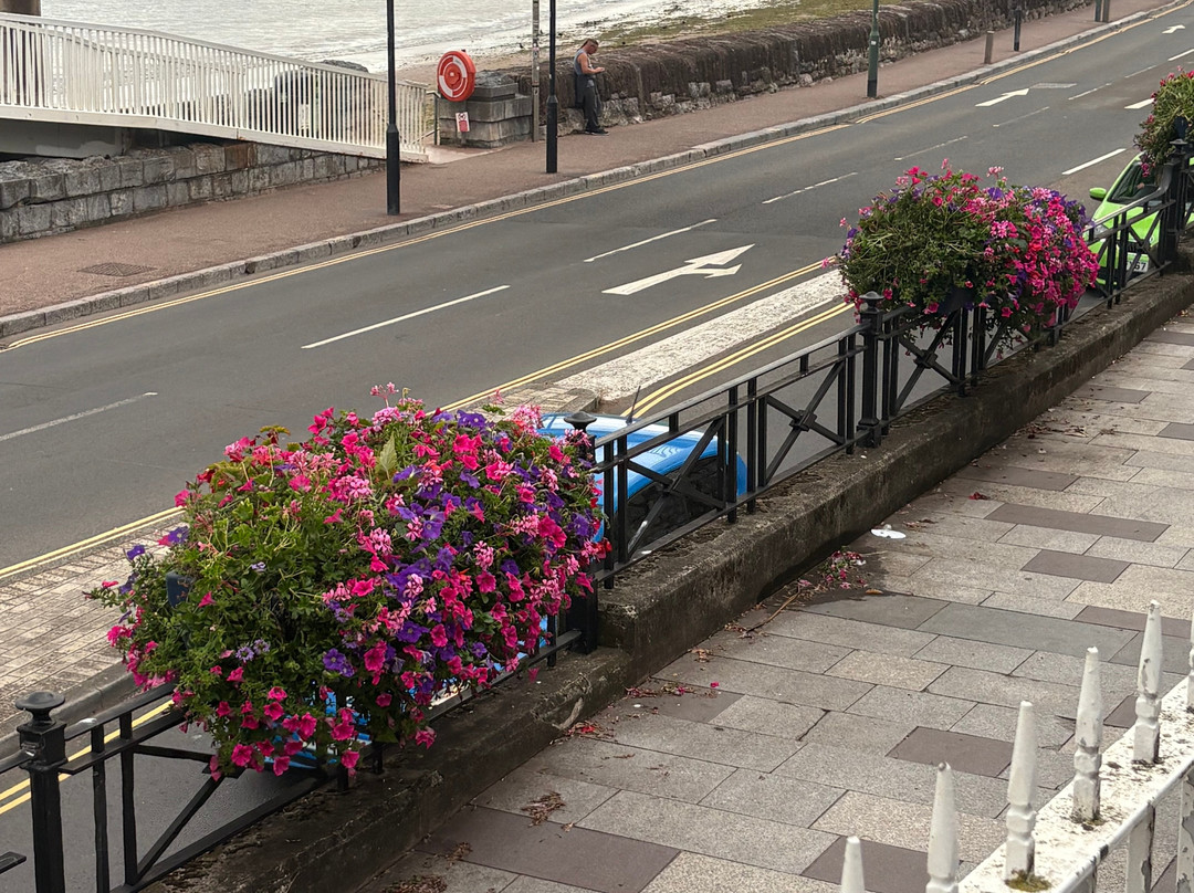 Crowndale Hotel主图