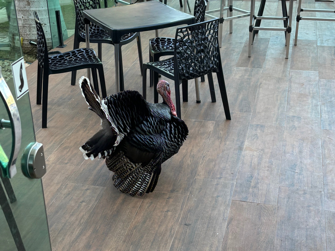 Dan Inn Franca & Convenções主图