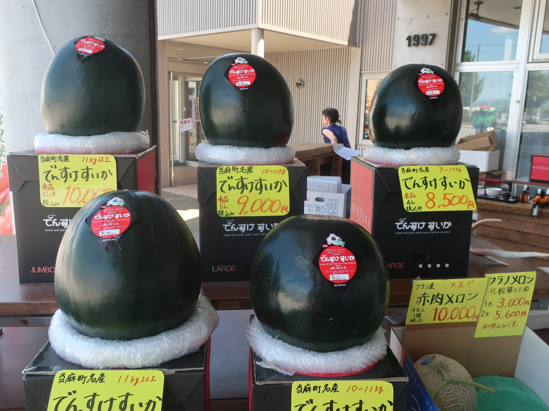 Michi-no-Eki Toma-当麻町 必去景点