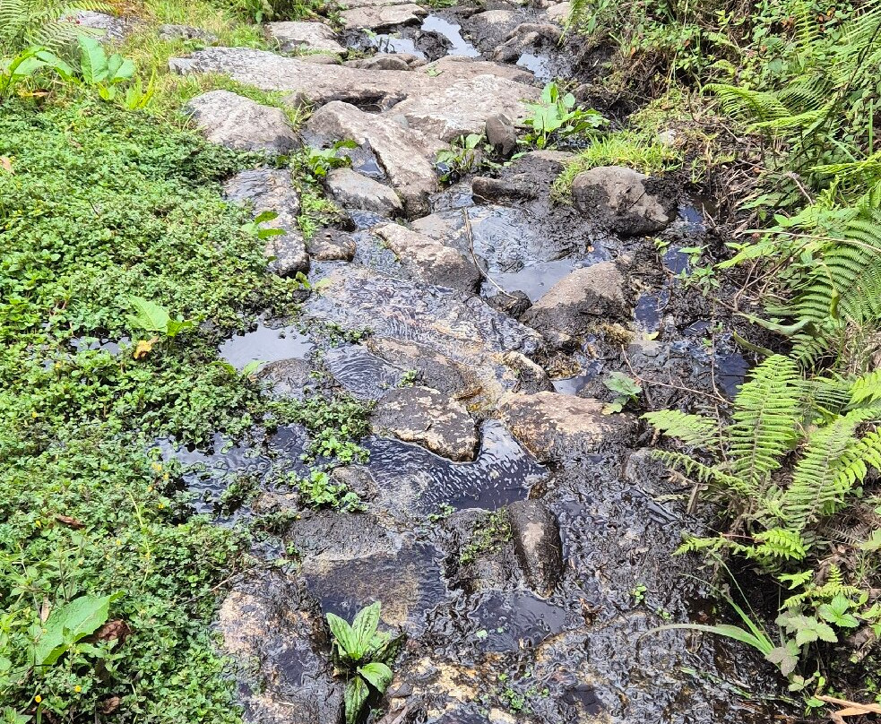 El Choro Trail-拉巴斯必去景点