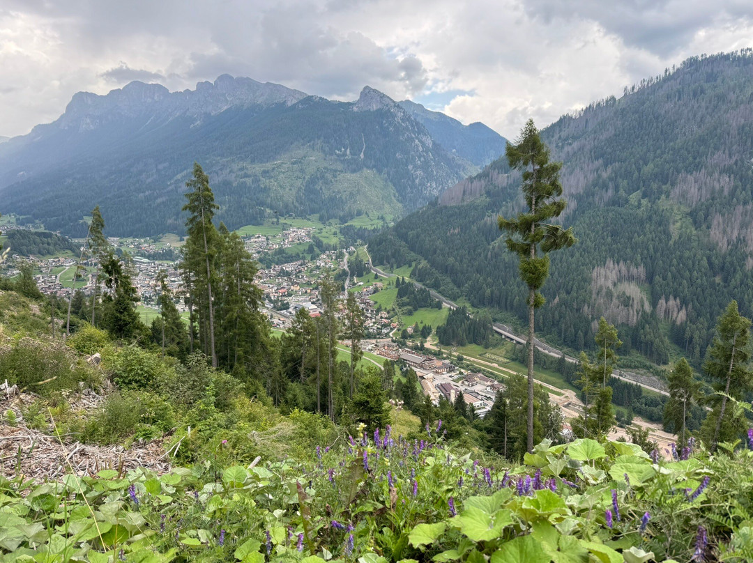 克拉伯阿德勒健康家庭酒店主图