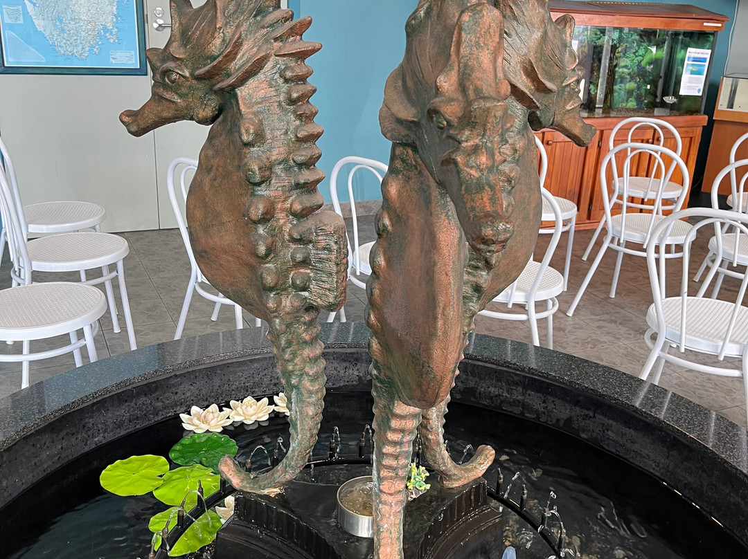 Seahorse World-Beauty Point必去景点