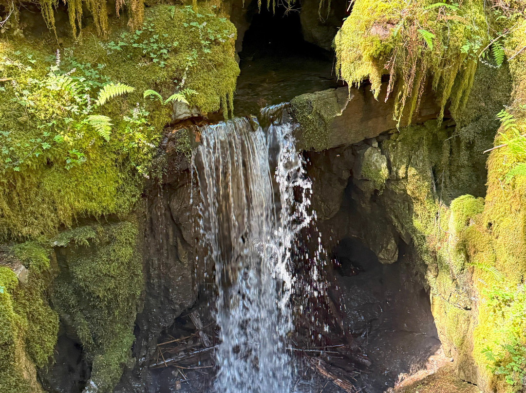 Eternal Fountain-Port Alice必去景点