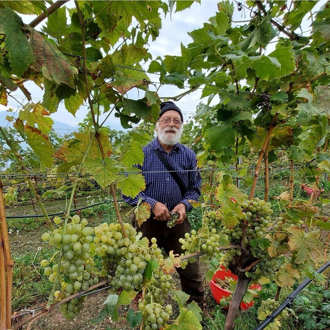 Agritur Maso Spezial-官方