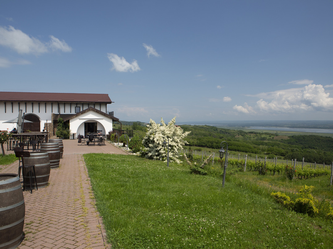 Domeniul Dragasi主图