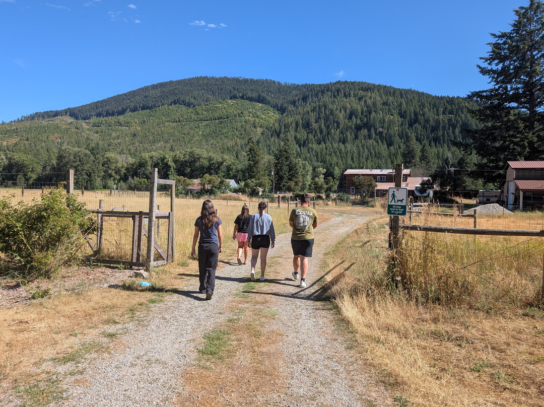 Cedar Mountain Farm Bed and Breakfast主图