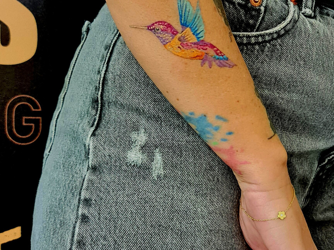 White Sloth Art Studio-塔马林多必去景点