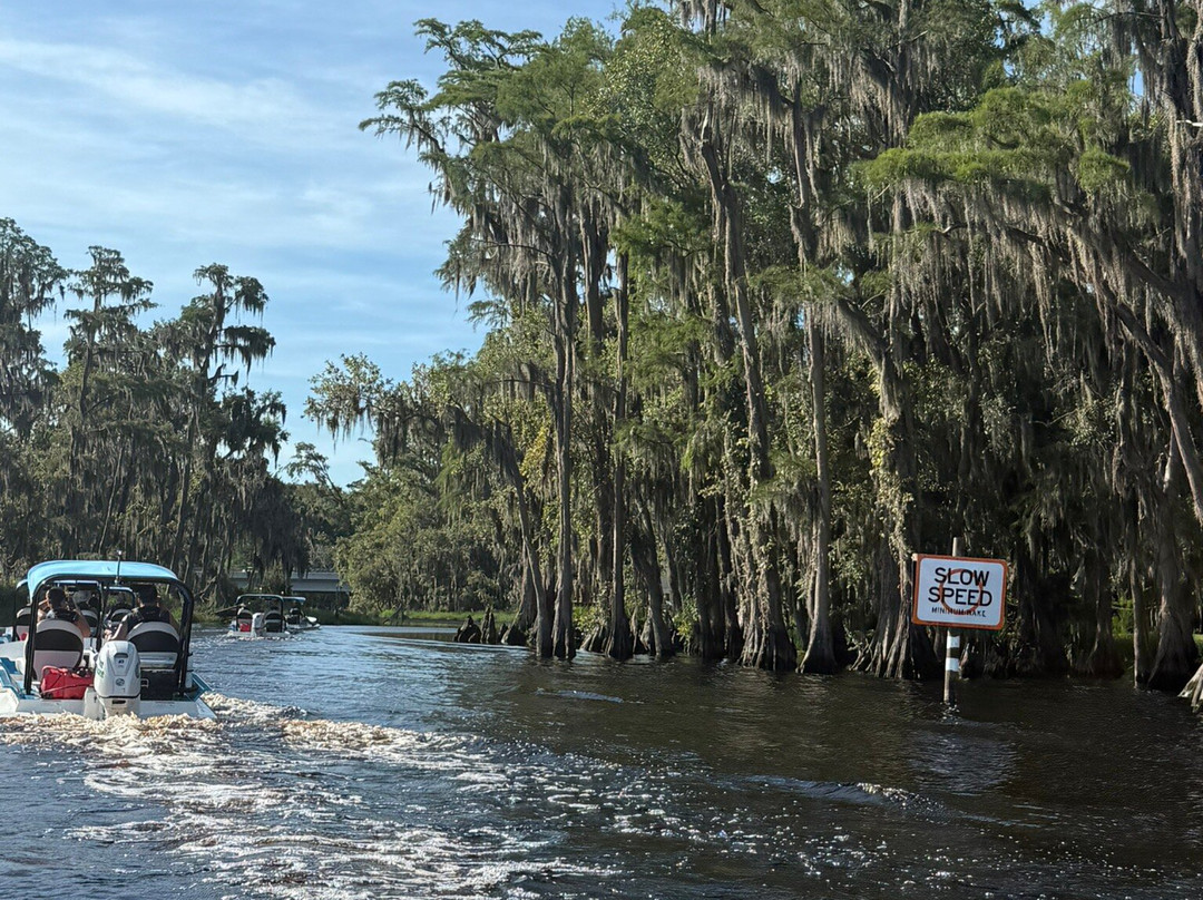 Catboat Escapes-Clermont必去景点