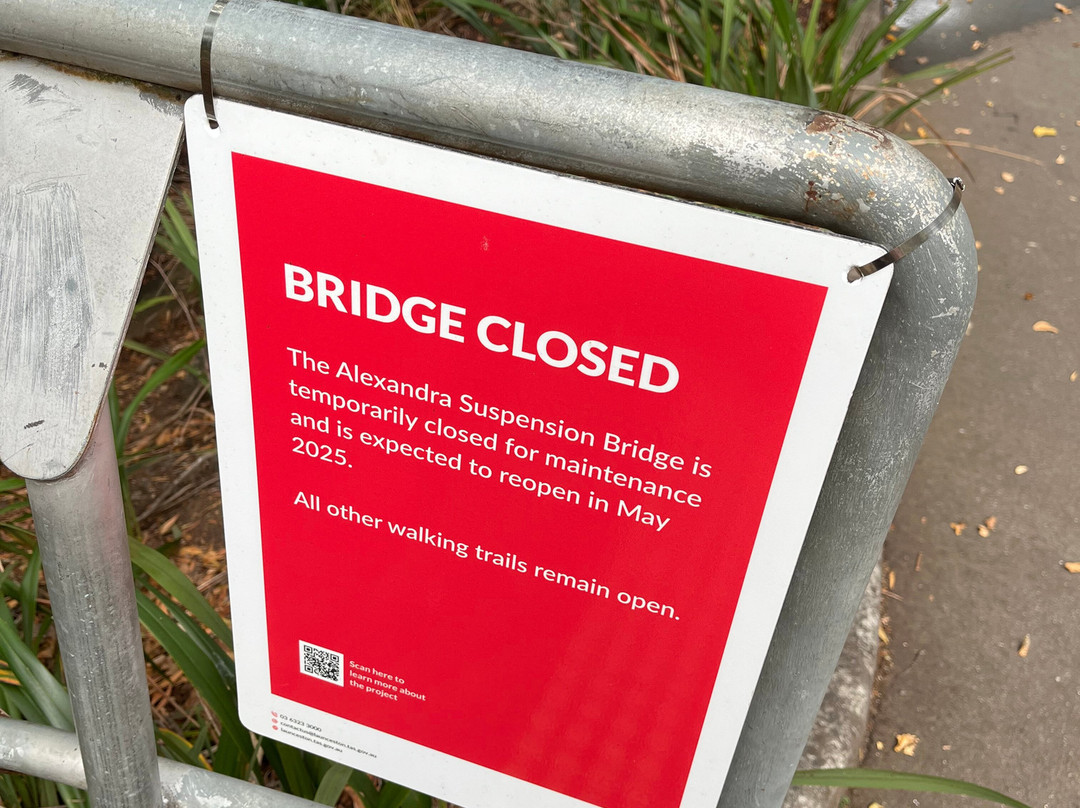 Alexandra Suspension Bridge-朗塞斯顿必去景点