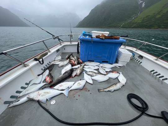 Alaska Coastal Explorer-苏厄德必去景点