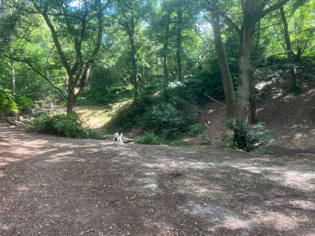 Mousehold Heath-诺威奇必去景点