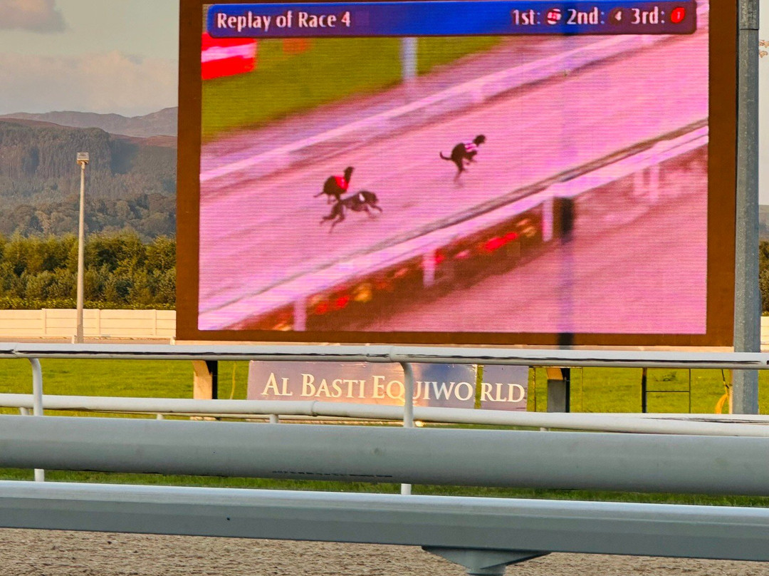 Dundalk Stadium-Dundalk必去景点