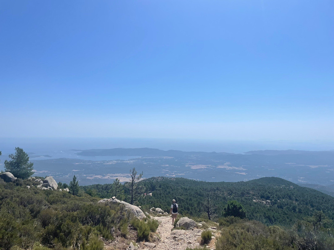 Foret de l'Ospedale-维琪奥港必去景点