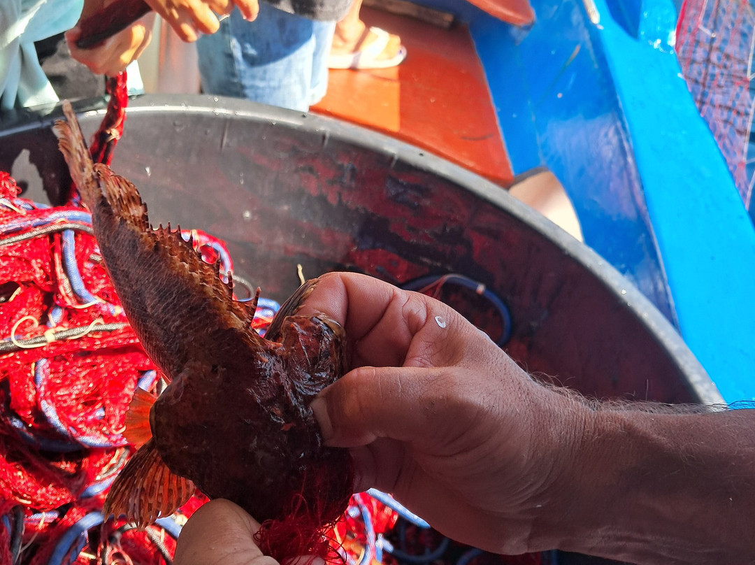 Pescaturismo La Barca dei Matti-Campo nell'Elba必去景点