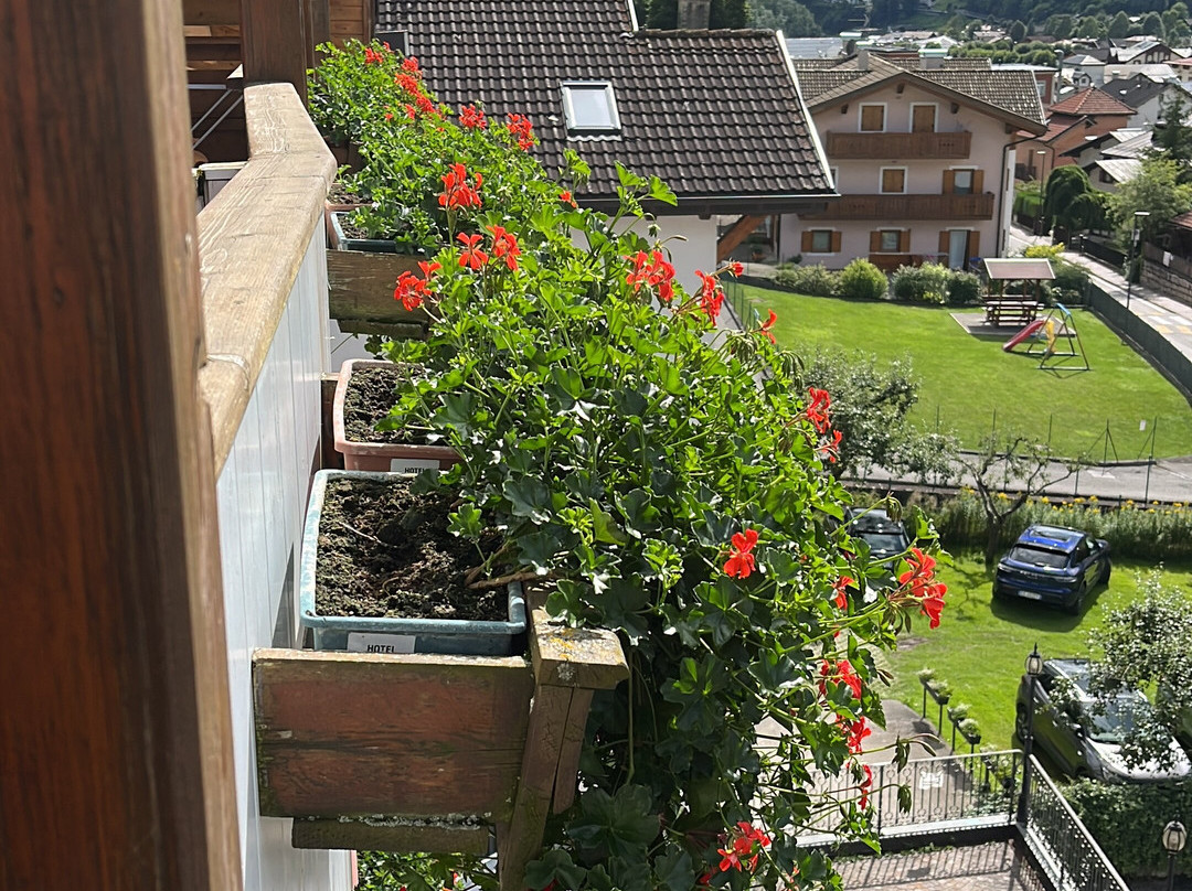 Family Hotel La Perla主图