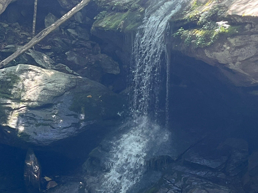 Otter Falls-Seven Devils必去景点