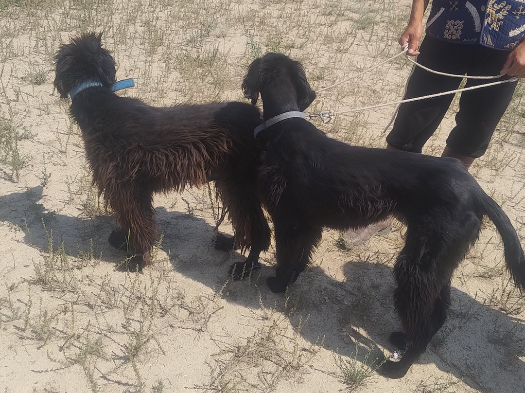 Kyrgyz Guide-比斯凯克必去景点