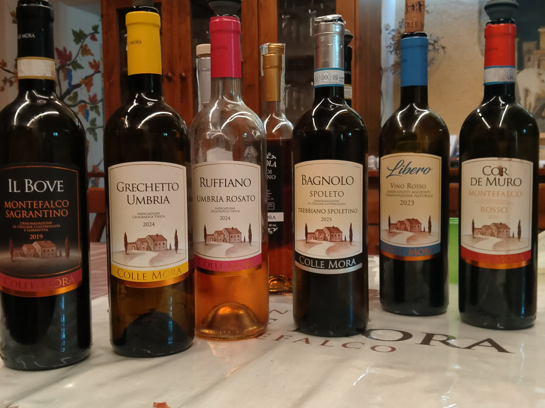 Cantina Colle Mora-Montefalco必去景点