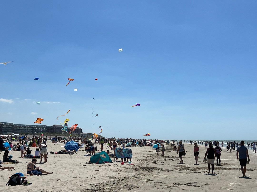 La Plage Centre-ville-Berck必去景点