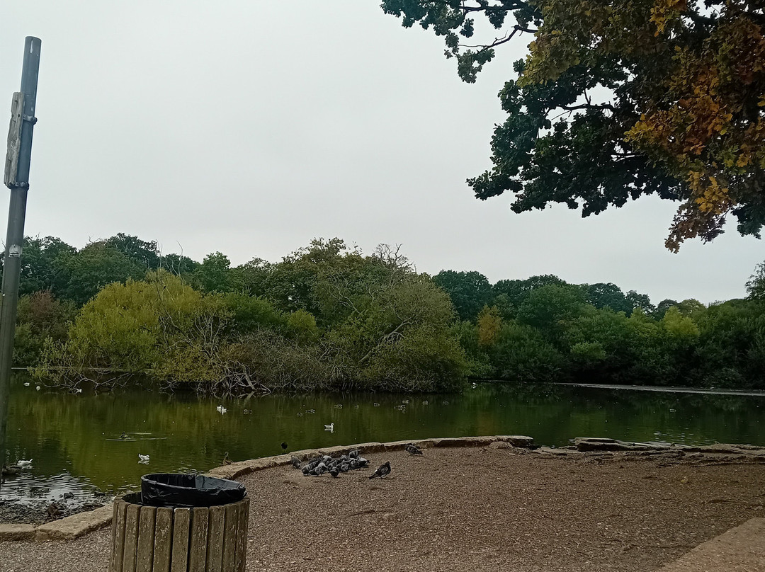Southampton Common-南安普敦必去景点
