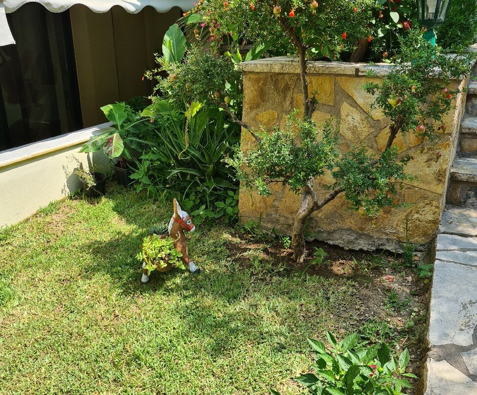 Hotel Loukas Vrachos主图