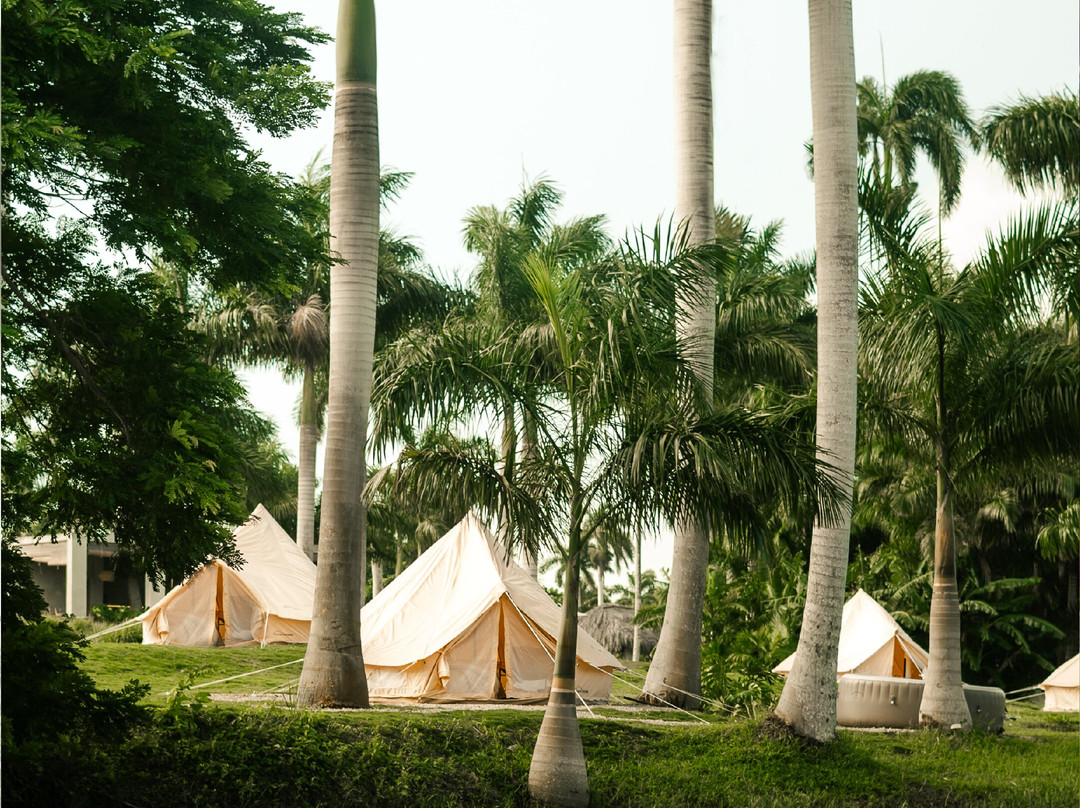 Chinese Tourist Assistance Center-哈瓦那必去景点