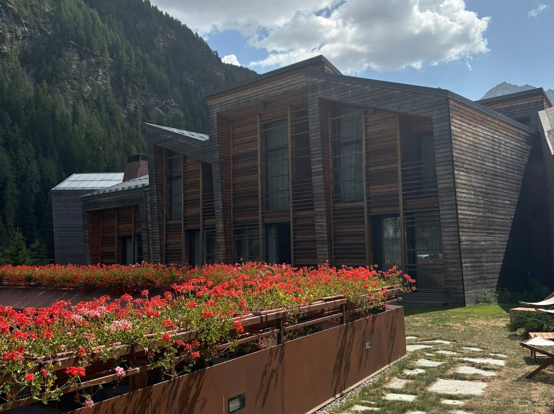 Aethos Monterosa主图