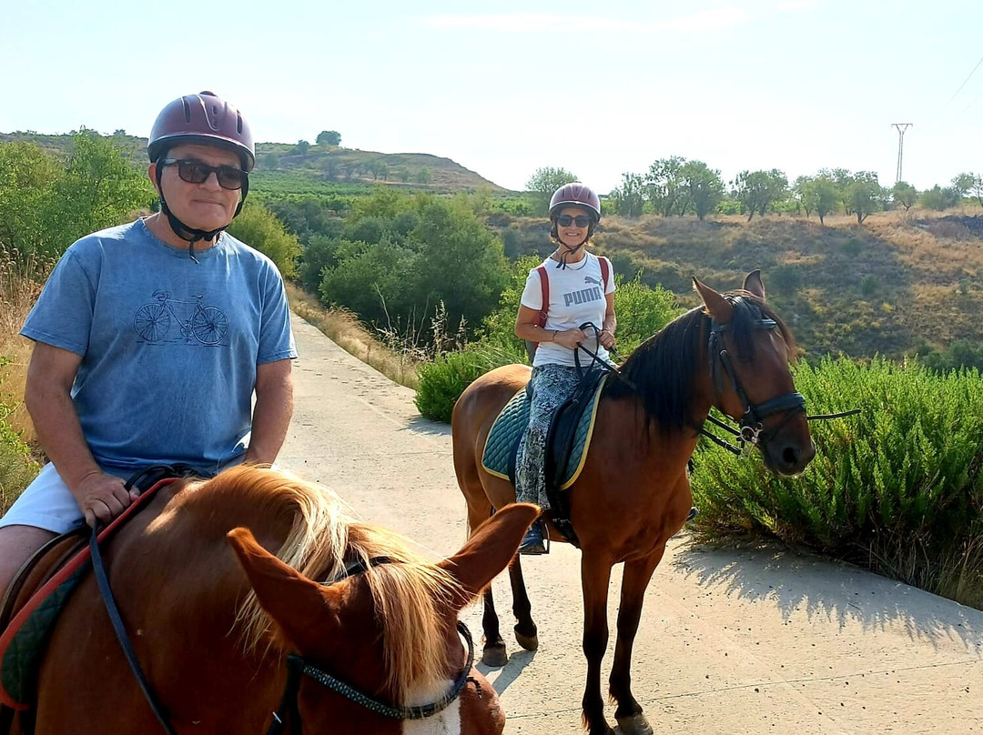 Centro Ecuestre Villarrica-San Asensio必去景点