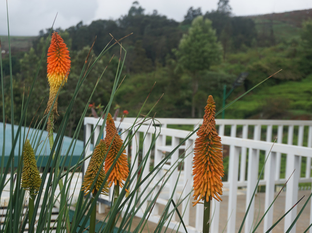 La Niebla Farm Resort主图