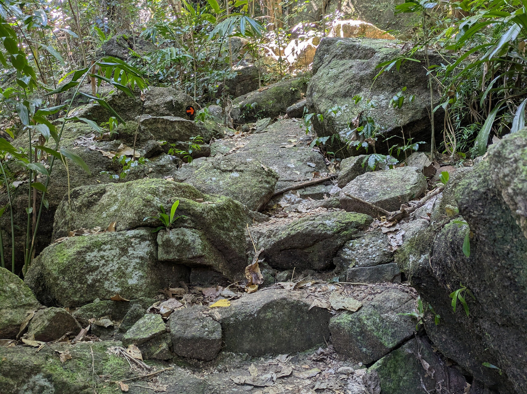 Murray Falls-卡德威尔必去景点