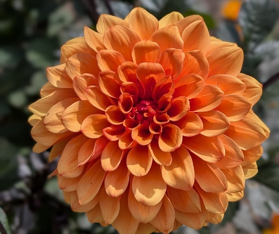 Threave Castle-Kirkcudbright必去景点