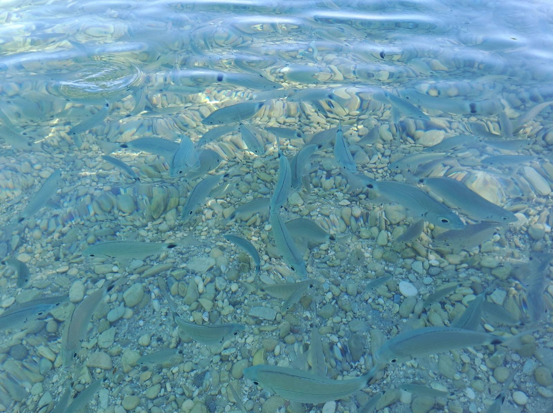 Fanari Beach-Meganisi必去景点