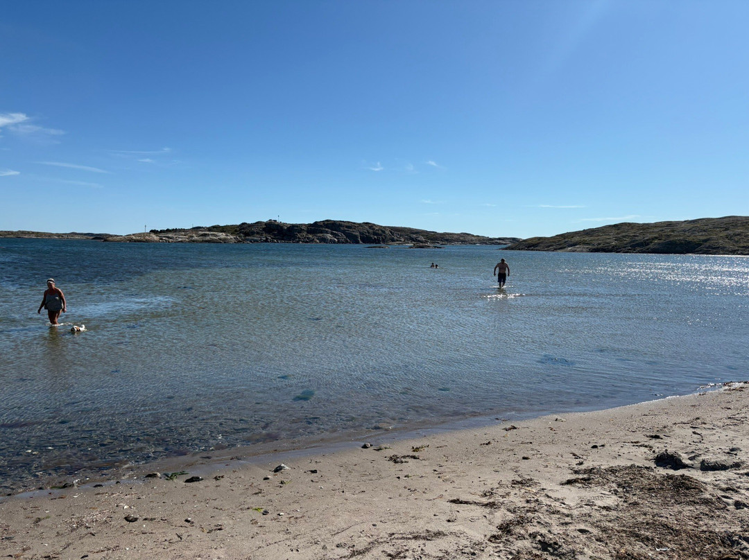 Roro naturreservat-Ockero必去景点