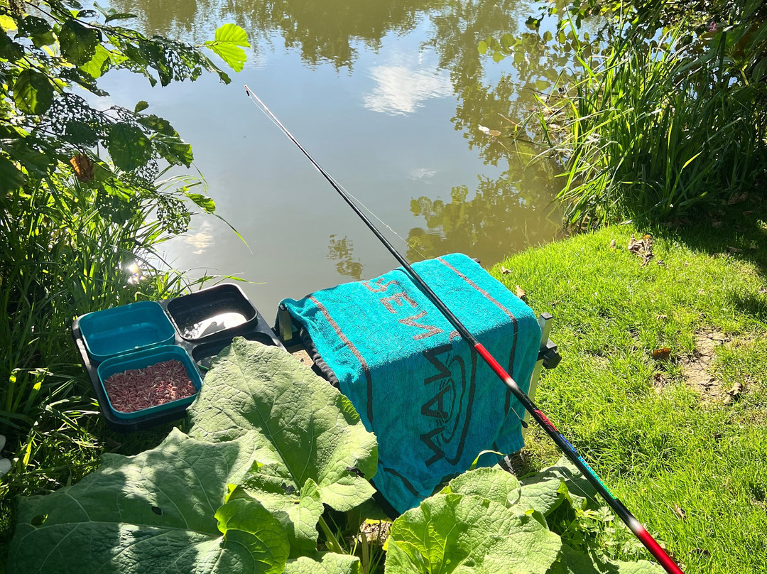 The Fishing Experience-Ware必去景点