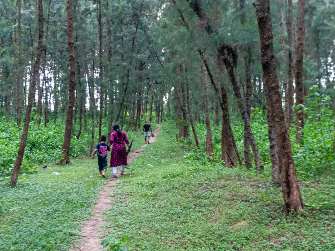 Dublagadi Sea Beach-Balasore必去景点