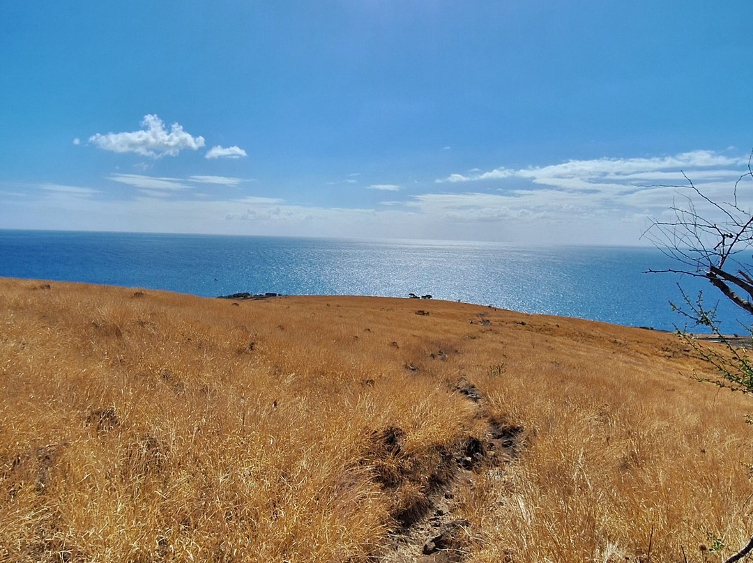 Cap La Houssaye-圣保罗必去景点