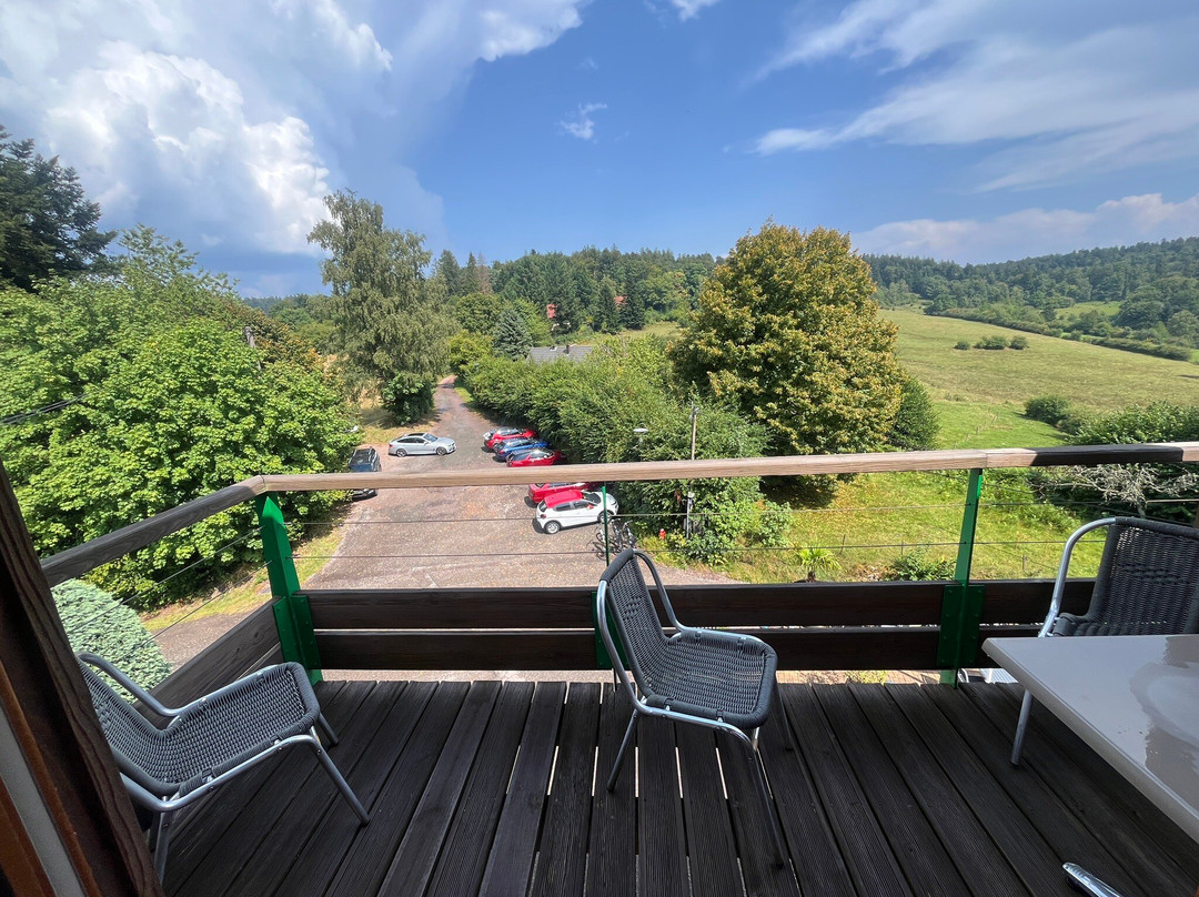 Schirmeck酒店住宿-Hotel Restaurant Neuhauser