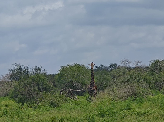 Sule Kenya Safari-瓦塔木必去景点