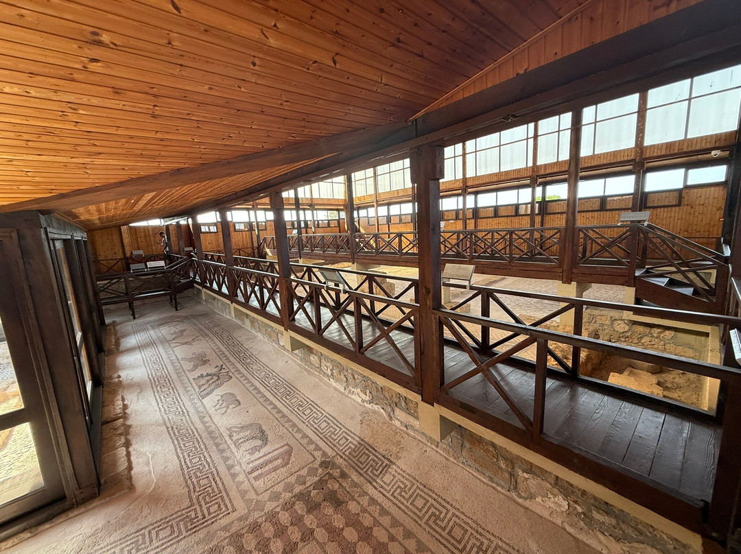 The House Of Dionysus-帕福斯必去景点