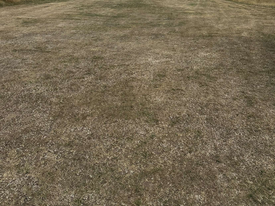 Burhill Golf Club-Walton-On-Thames必去景点